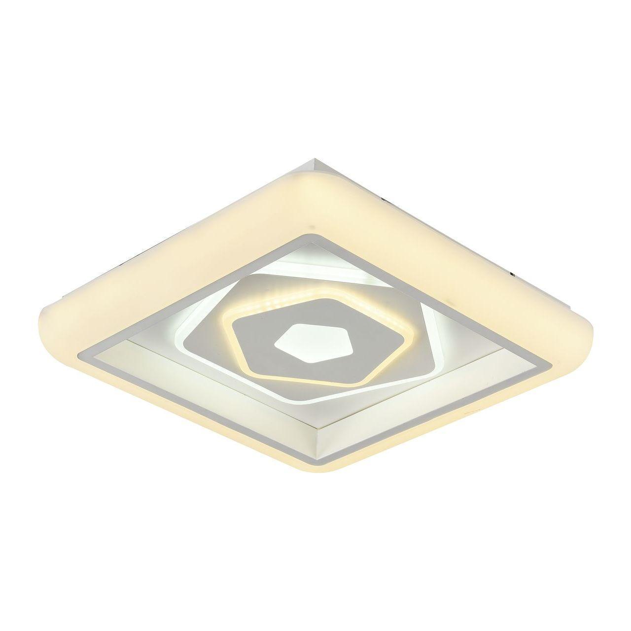 Потолочный светодиодный светильник F-Promo Ledolution 2284-5C
