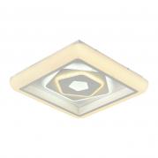 Потолочный светодиодный светильник F-Promo Ledolution 2284-5C