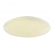 Потолочный светодиодный светильник F-Promo Luna 2319-10C