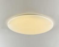 Потолочный светодиодный светильник F-Promo Luna 2319-10C