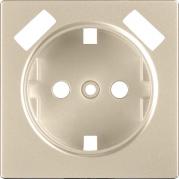 Лицевая панель розетки USB шампань WL11-USB-CP 4690389124693