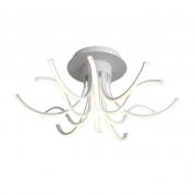 Потолочный светодиодный светильник ST Luce Finde SL826.502.12