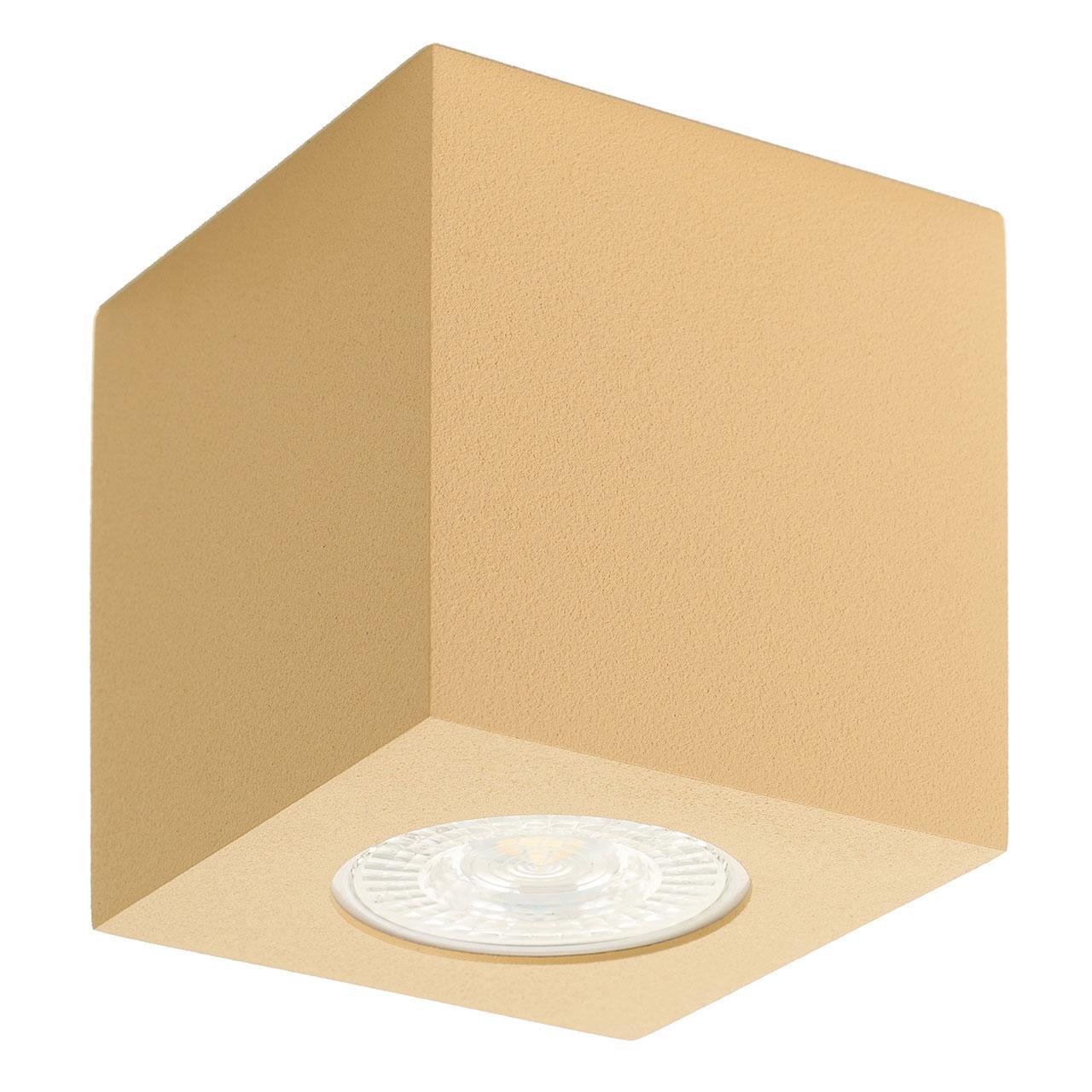 Потолочный светильник Denkirs DK3010-CO