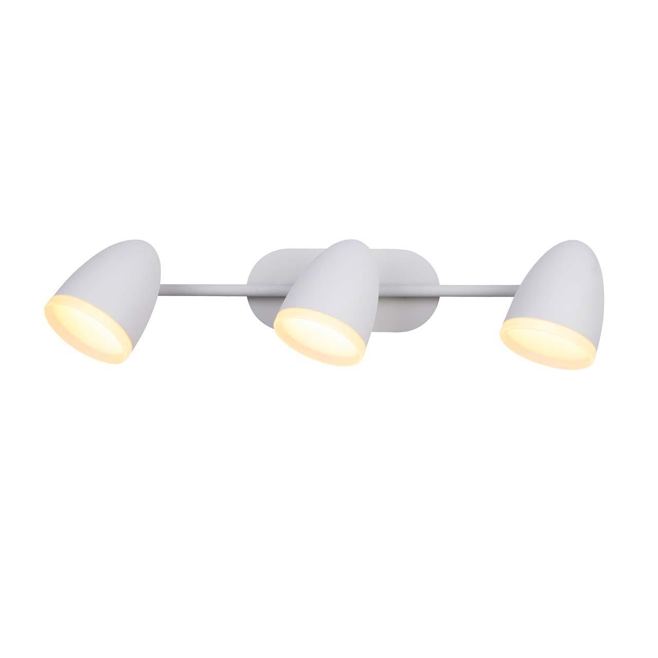 Светодиодный спот ST Luce Padivio SL387.501.03
