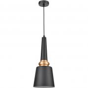 Подвесной светильник Vele Luce Appassionato VL2142P01