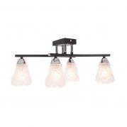 Потолочная люстра IDLamp Simone 217/4PF-Blackchrome