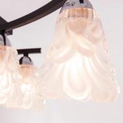 Потолочная люстра IDLamp Simone 217/6PF-Blackchrome