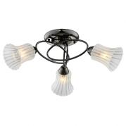 Потолочная люстра IDLamp Zhinevra 246/3PF-Blackwhite