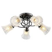 Потолочная люстра IDLamp Zhinevra 246/5PF-Blackwhite