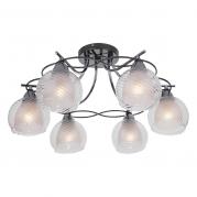 Потолочная люстра IDLamp Isabella 873/6PF-Darkchrome