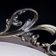 Потолочный светильник Maytoni Speria CL900-05-R