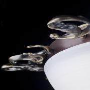 Потолочный светильник Maytoni Speria CL900-05-R