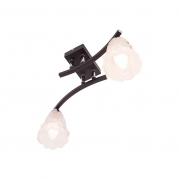 Потолочный светильник IDLamp Simone 217/2PF-Blackchrome