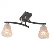 Потолочный светильник IDLamp Simone 217/2PF-Blackchrome