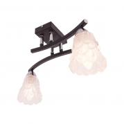 Потолочный светильник IDLamp Simone 217/2PF-Blackchrome