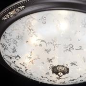 Потолочный светильник Maytoni Diametrik CL907-06-R