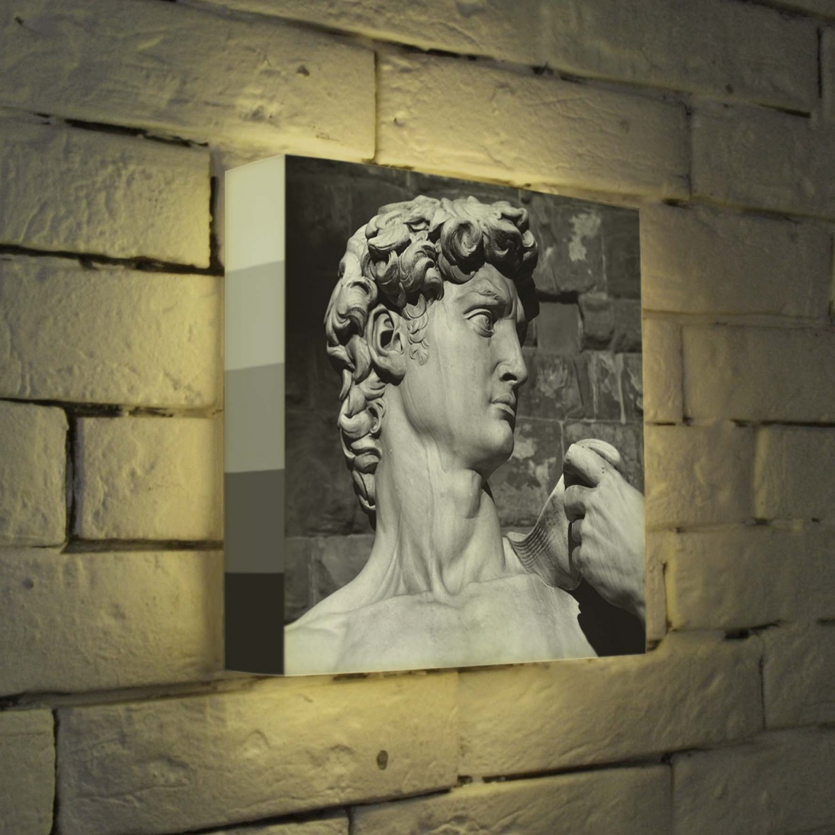 Лайтбокс Голова Давида 25x25-037