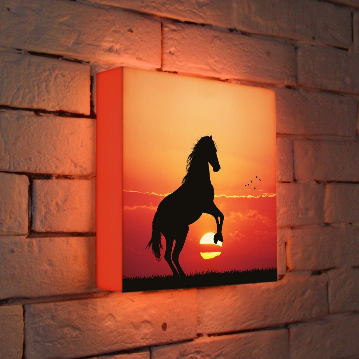 Лайтбокс Конь 25x25-054