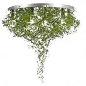 Потолочный светильник Luce Solara Natura 9010/9PL Green