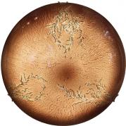 Настенный светильник Lussole Lgo Lava LSN-0912-01