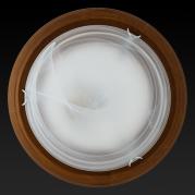 Настенный светильник Toplight Irma TL9073Y-02OA
