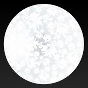 Настенный светильник Toplight Primrose TL9064Y-02WH