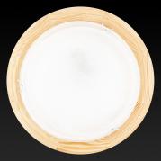 Настенный светильник Toplight Irma TL9073Y-02PN