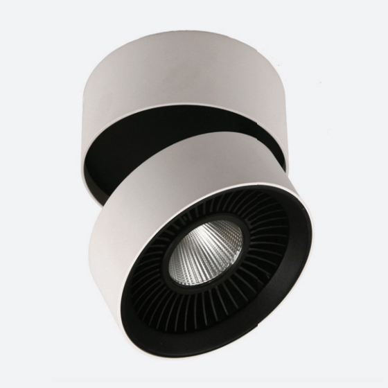 Спот Donolux DL18409/11WW-R