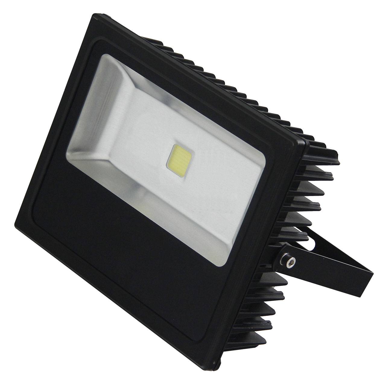 Прожектор светодиодный Horoz Leon 70W 6500K HL166LBL
