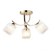 Потолочная люстра Arte Lamp 5 A6119PL-3GO