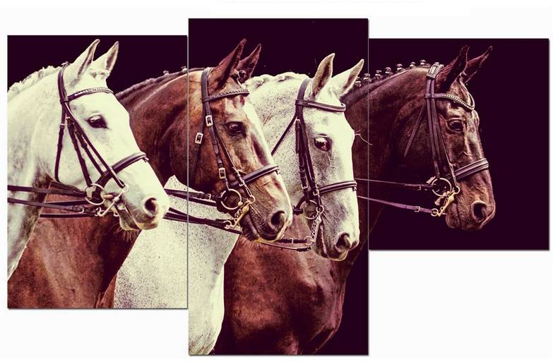 Мини модульная картина Toplight 55х94см TL-MM1016