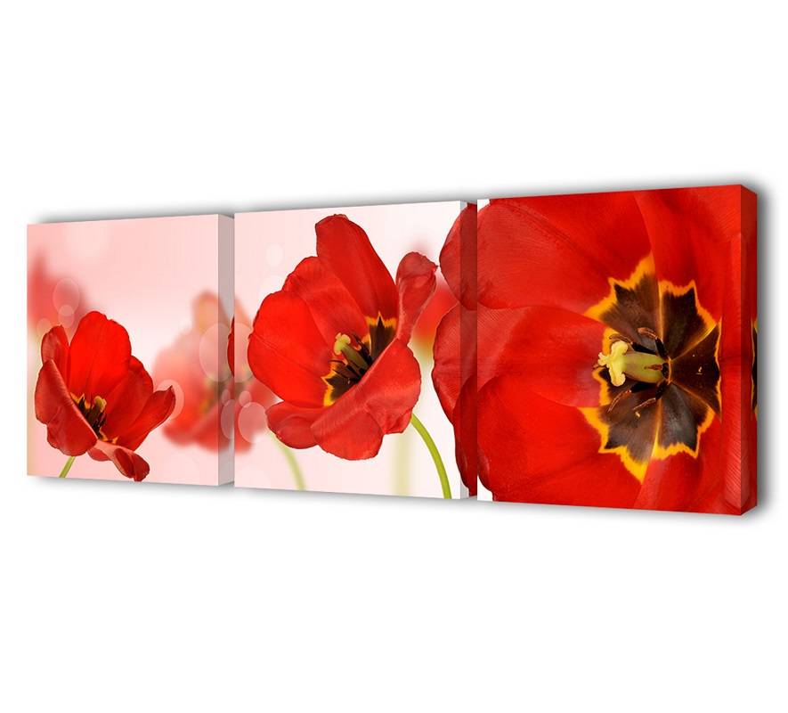 Модульная картина Насыщенные маки Toplight 150х50см TL-M2048