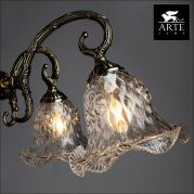Подвесная люстра Arte Lamp 65 A3902LM-5AB