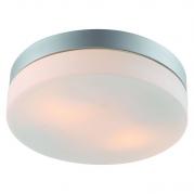 Потолочный светильник Arte Lamp Shirp A3211PL-2SI