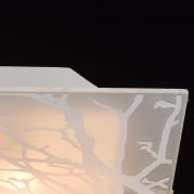 Потолочный светильник MW-Light Васто 368010702