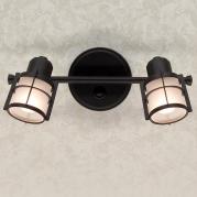 Спот Citilux Реймс CL563521