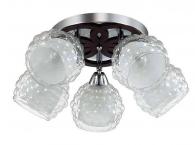 Спот Lumion Federro 3058/5C