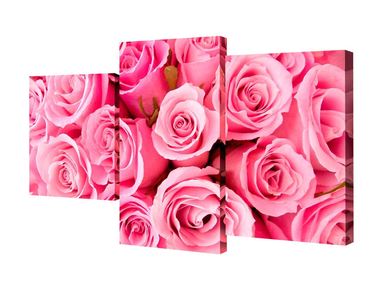 Мини модульная картина Toplight Цветы 50х78см TL-MM1056