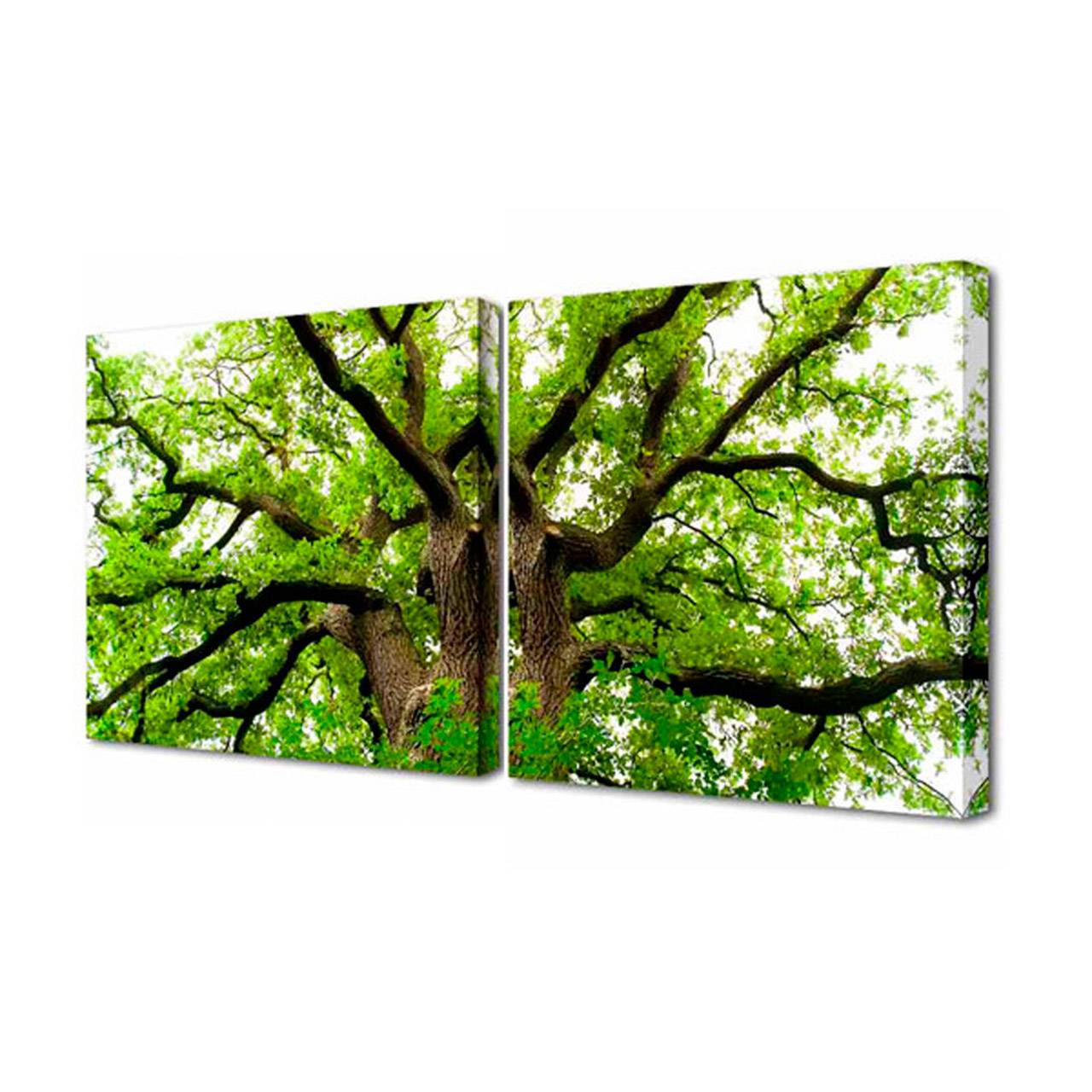 Модульная картина Toplight Природа 50х100см TL-M2029