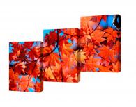 Модульная картина Toplight Природа 70х150см TL-M2036