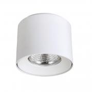Потолочный светодиодный светильник Crystal Lux CLT 522C138 WH