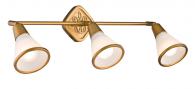 Спот Maytoni Luther ECO008-03-G