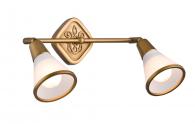 Спот Maytoni Luther ECO008-02-G