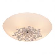 Потолочный светильник Silver Light Verbena 836.50.5
