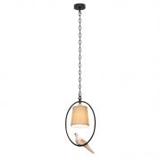 Подвесной светильник Loft IT Loft1029A-1