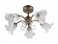 Потолочная люстра Toplight Magdalene TL3490X-05AB
