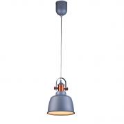 Подвесной светильник Lucia Tucci Industrial 1820.1 Sand Silver