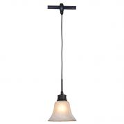 Трековый светильник Citilux Классик CL560215