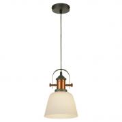 Подвесной светильник Lussole Loft LSP-9846