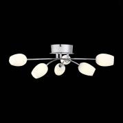 Потолочная светодиодная люстра ST Luce Luna SL478.102.06